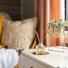 Load image into Gallery viewer, Reed Diffuser - Cashmere Kiss