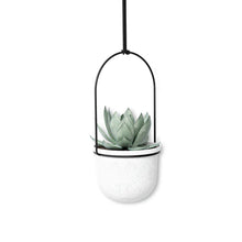 Load image into Gallery viewer, QUINTFLORA HANGING PLANTER - SET OF 5