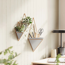 Load image into Gallery viewer, TRIGG WALL DISPLAY