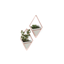 Load image into Gallery viewer, TRIGG WALL DISPLAY