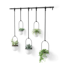 Load image into Gallery viewer, QUINTFLORA HANGING PLANTER - SET OF 5