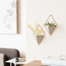 Load image into Gallery viewer, TRIGG WALL DISPLAY