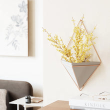 Load image into Gallery viewer, TRIGG WALL DISPLAY