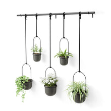 Load image into Gallery viewer, QUINTFLORA HANGING PLANTER - SET OF 5