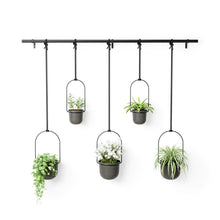 Load image into Gallery viewer, QUINTFLORA HANGING PLANTER - SET OF 5