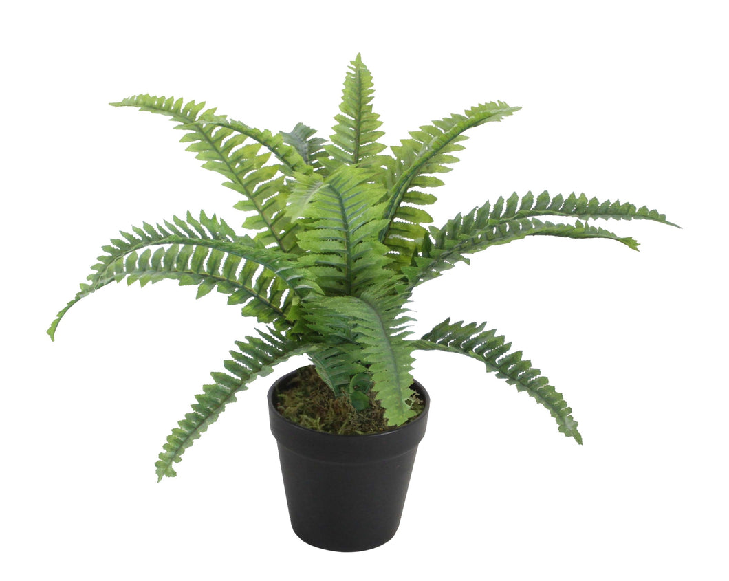 FAUX BOSTON FERN W/ BLACK POT