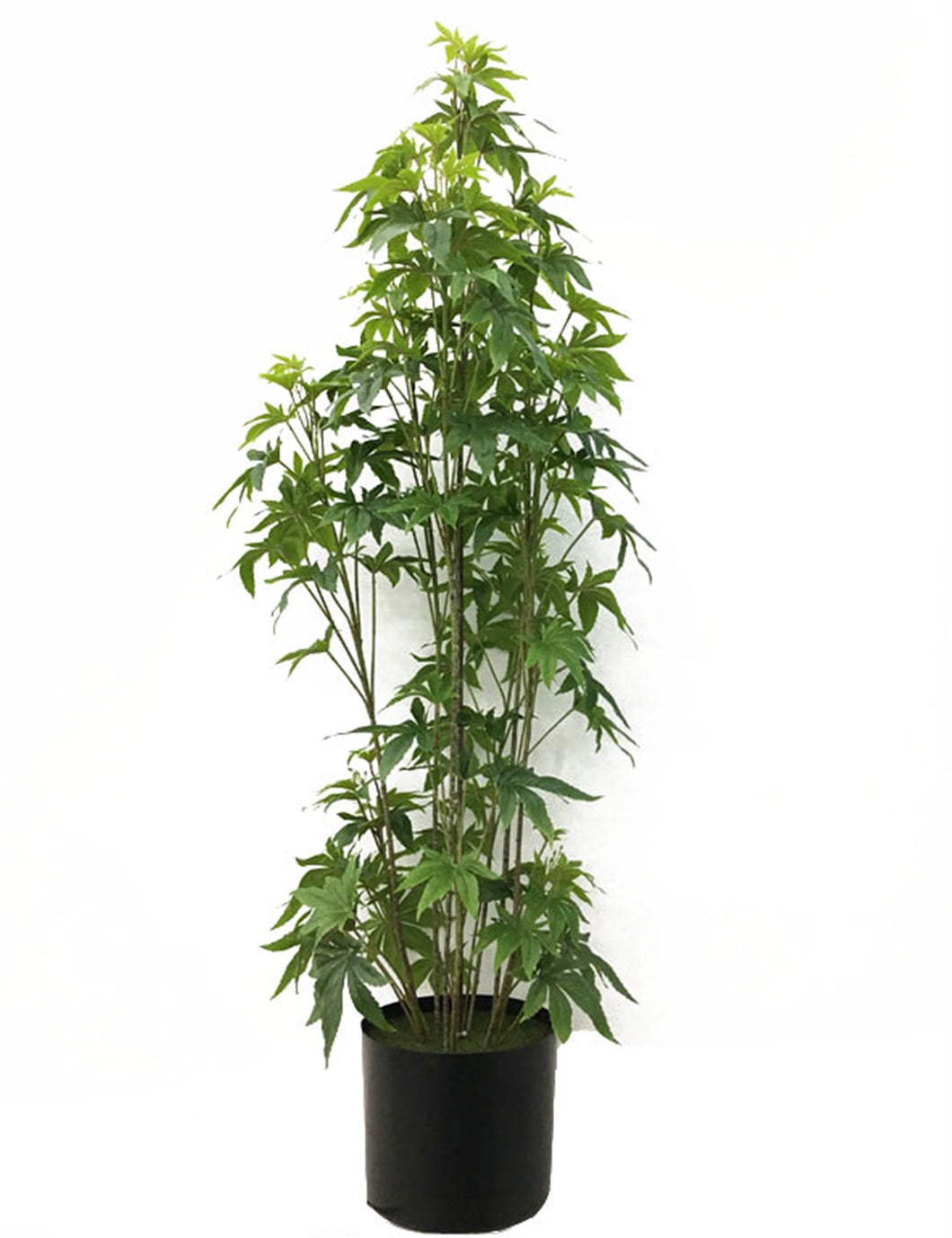 FAUX MARIJUANA CANNABIS PLANT W/ POT