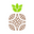SIRO HOME logo