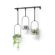 Load image into Gallery viewer, TRIFLORA HANGING PLANTER - SET OF 3
