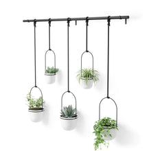 Load image into Gallery viewer, QUINTFLORA HANGING PLANTER - SET OF 5
