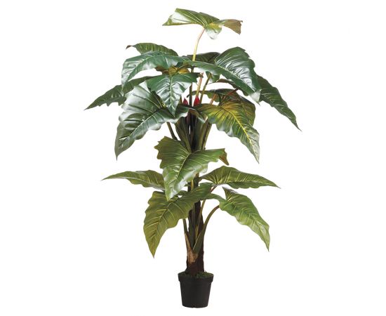 Red Prince Philodendron Silk Plant