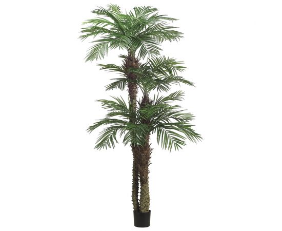 Areca Triple Trunk Silk Palm